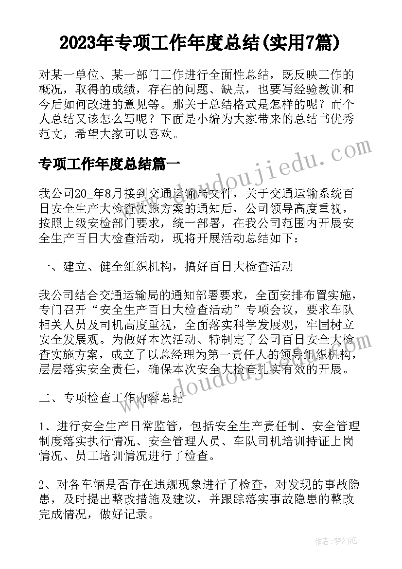 2023年专项工作年度总结(实用7篇)