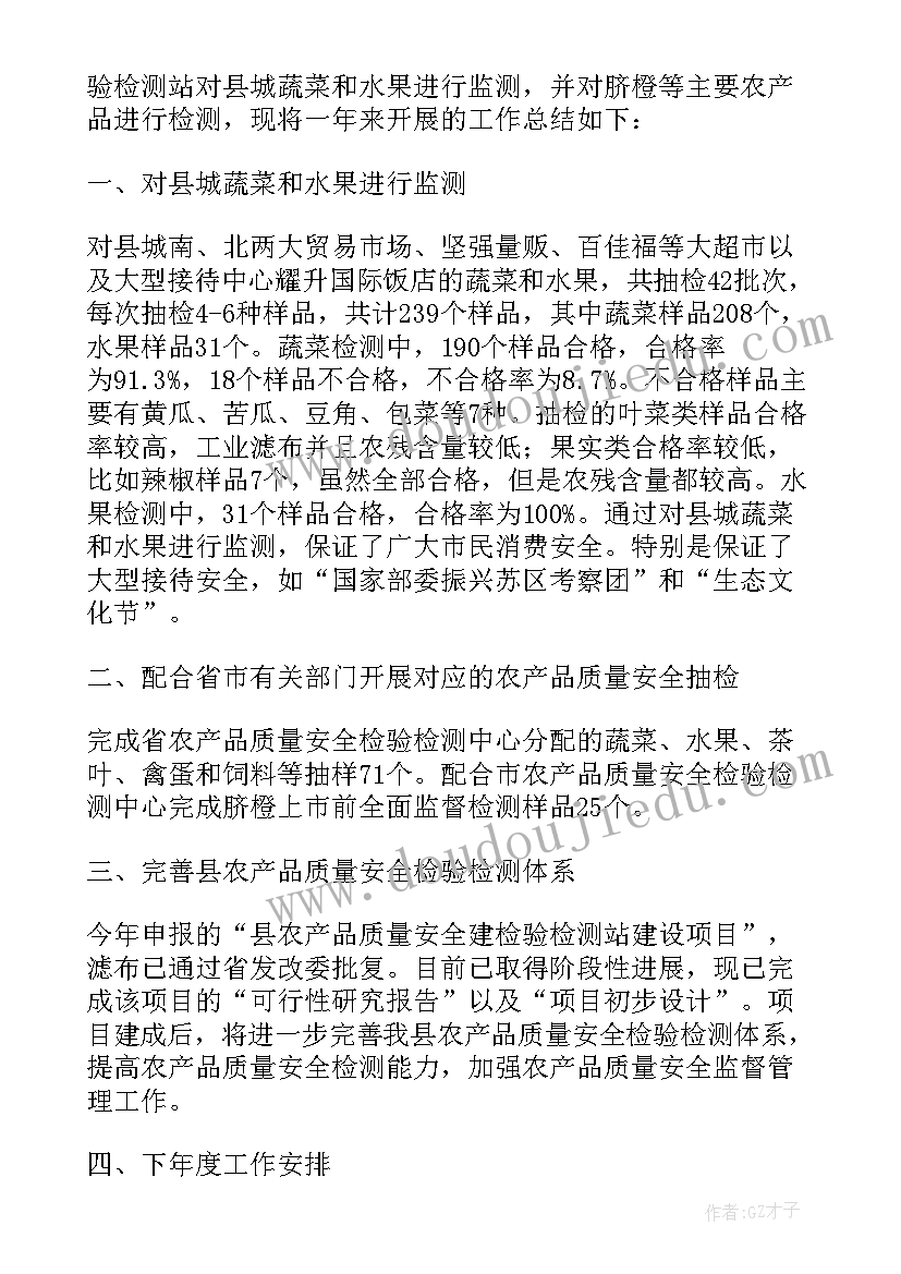 2023年检测站月度工作总结和计划(大全10篇)