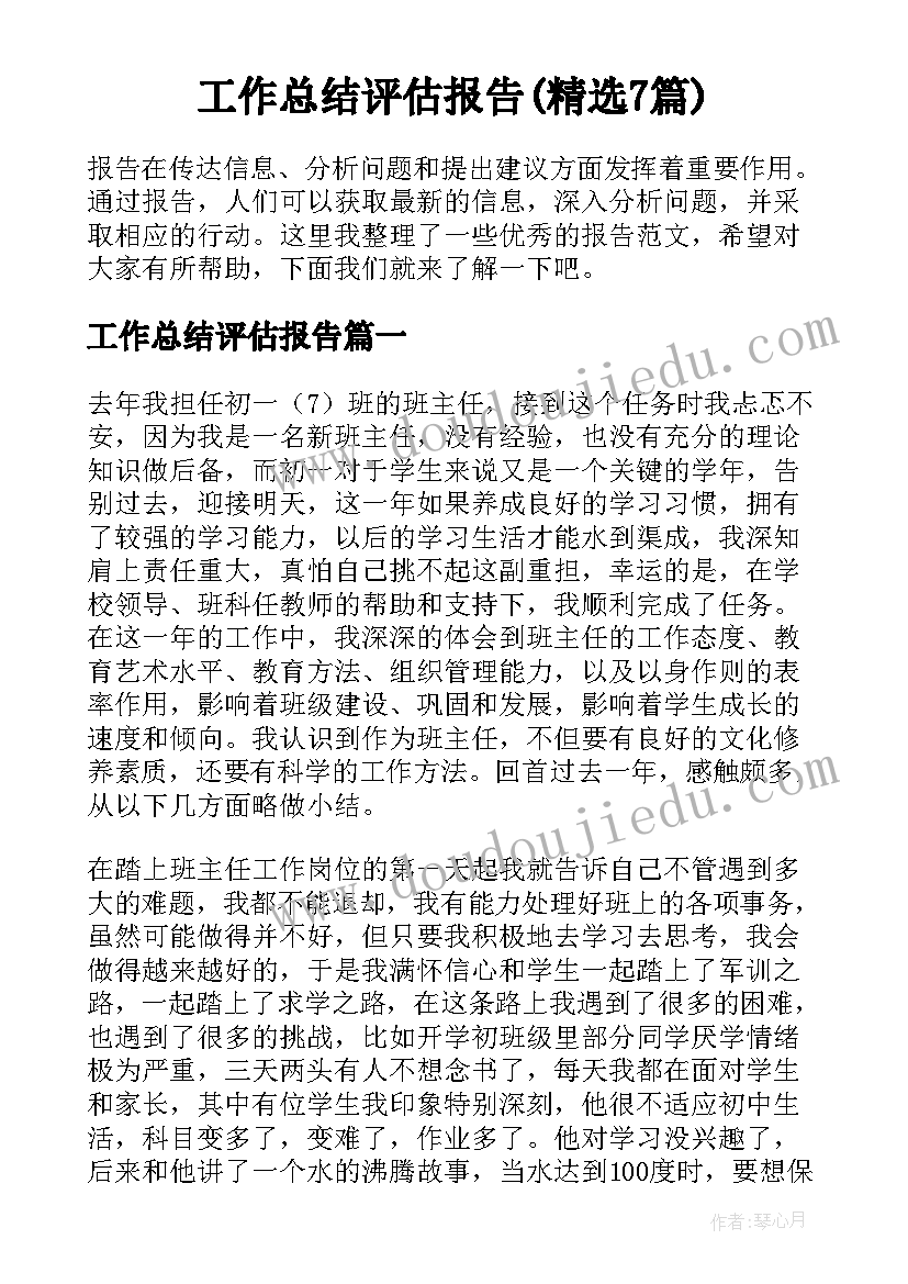 工作总结评估报告(精选7篇)