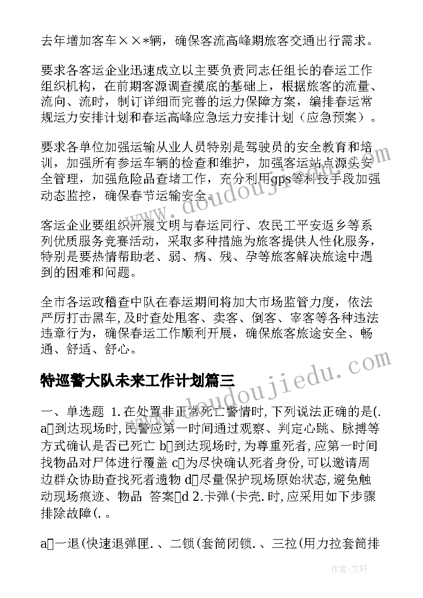 2023年特巡警大队未来工作计划 巡警大队春节期间工作计划合集(精选5篇)