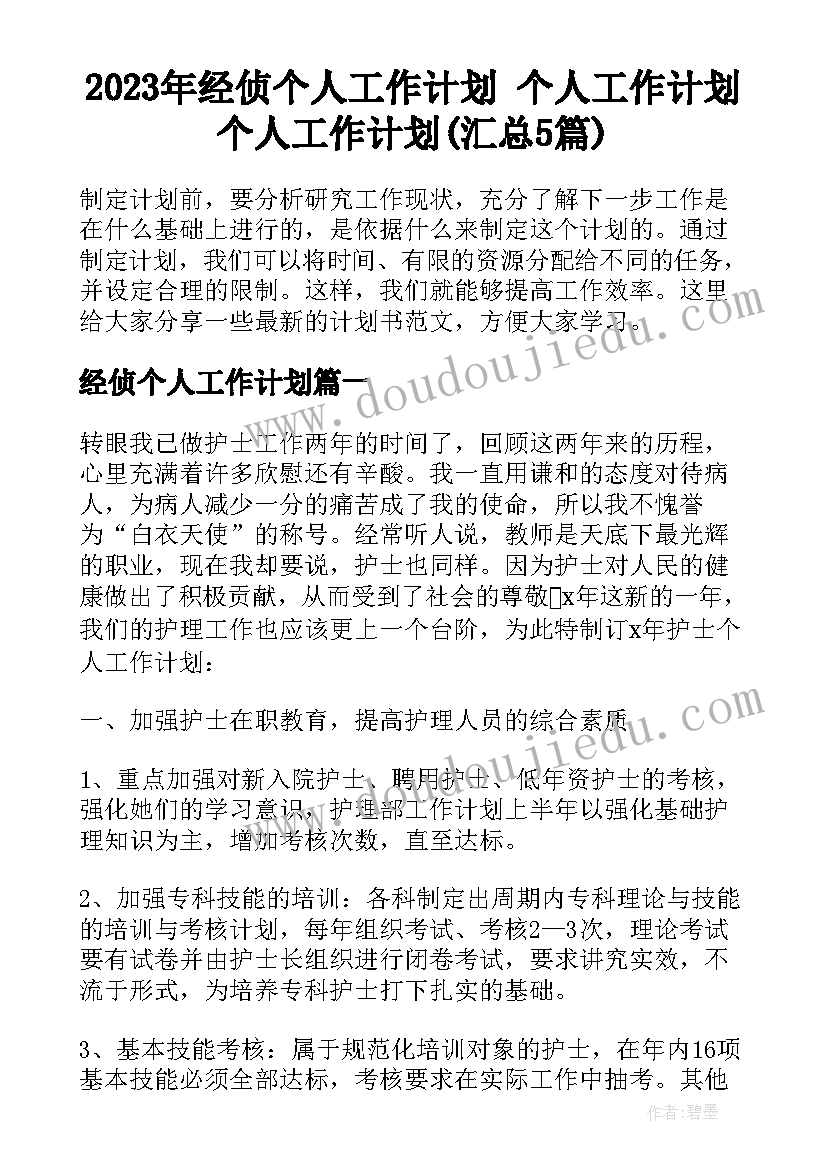 2023年经侦个人工作计划 个人工作计划个人工作计划(汇总5篇)