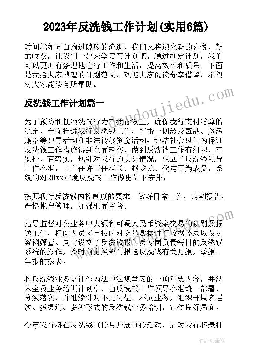 2023年反洗钱工作计划(实用6篇)