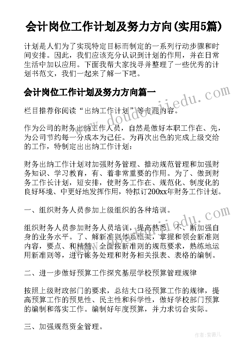 会计岗位工作计划及努力方向(实用5篇)