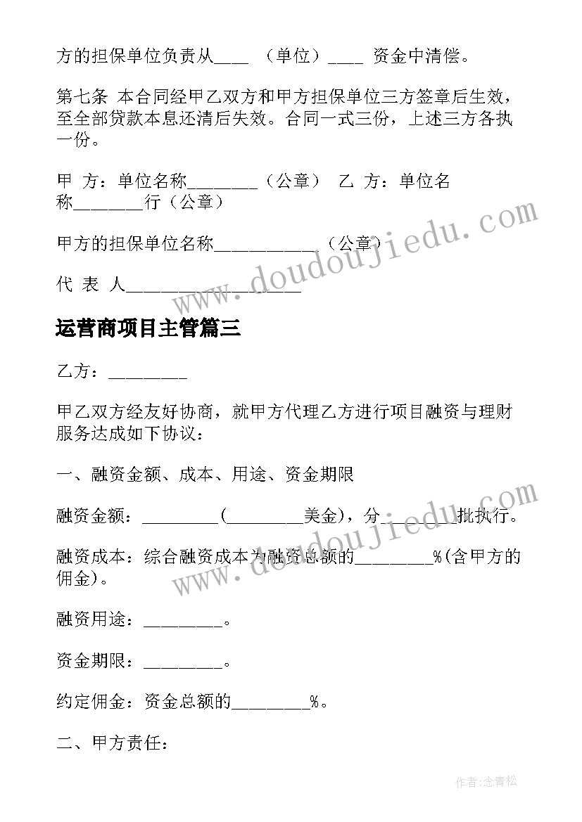 运营商项目主管 项目开发合同(精选9篇)