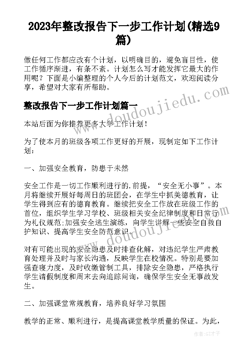 2023年整改报告下一步工作计划(精选9篇)