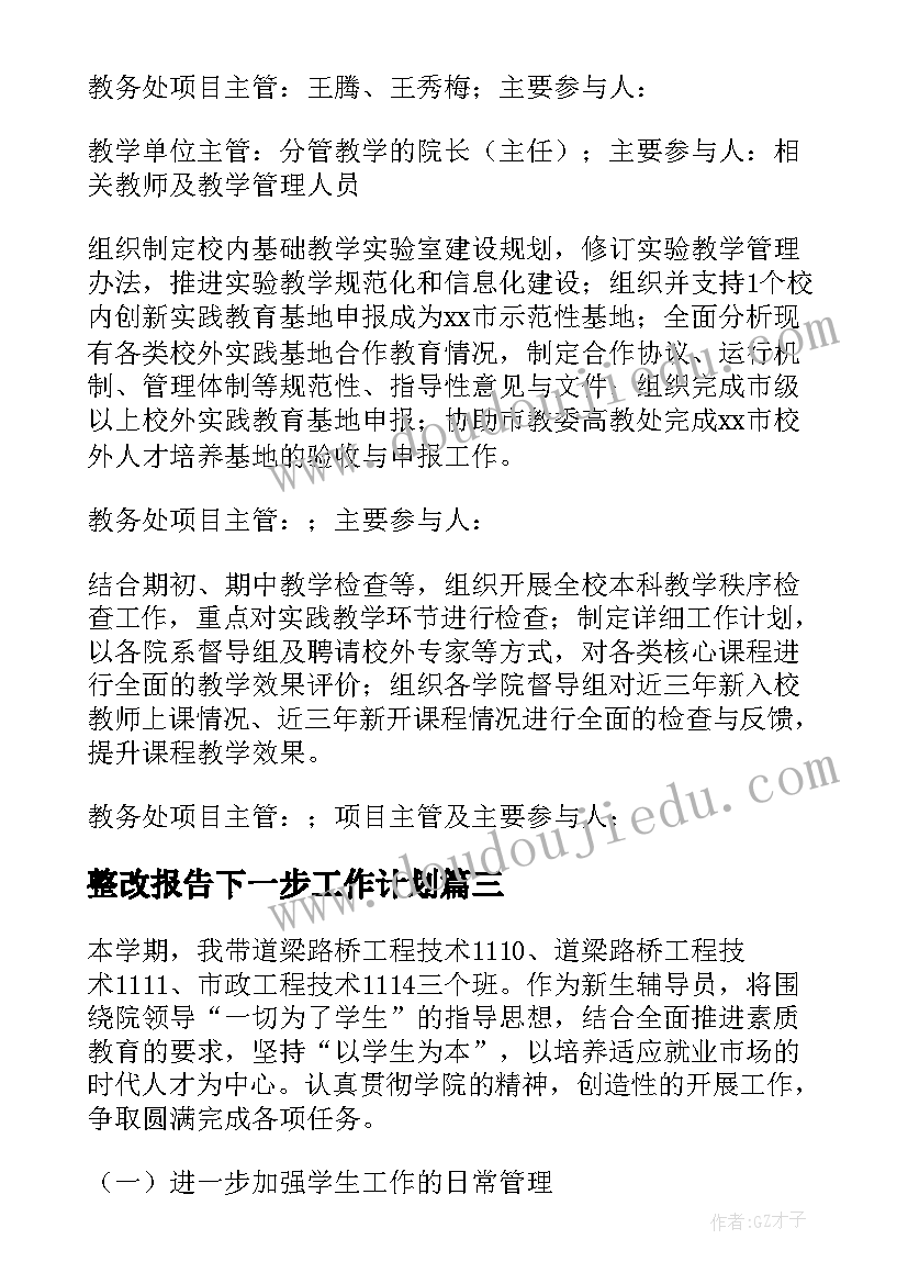 2023年整改报告下一步工作计划(精选9篇)