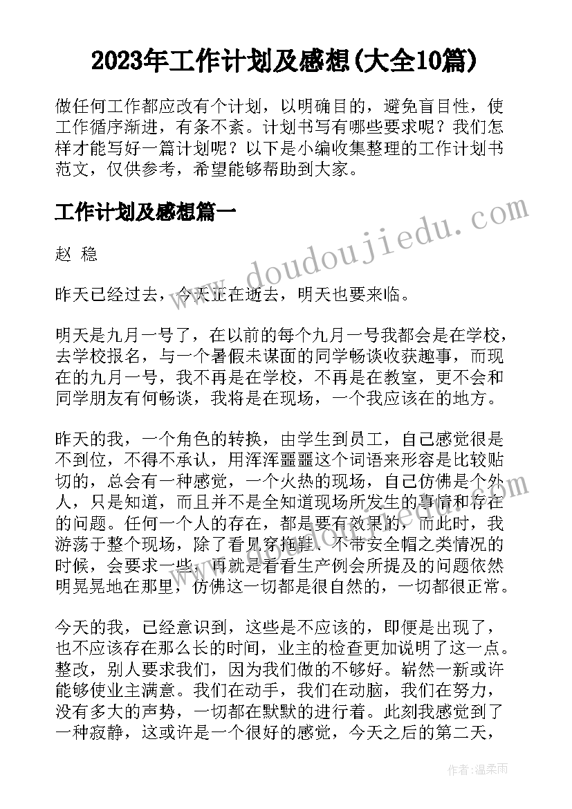 2023年工作计划及感想(大全10篇)