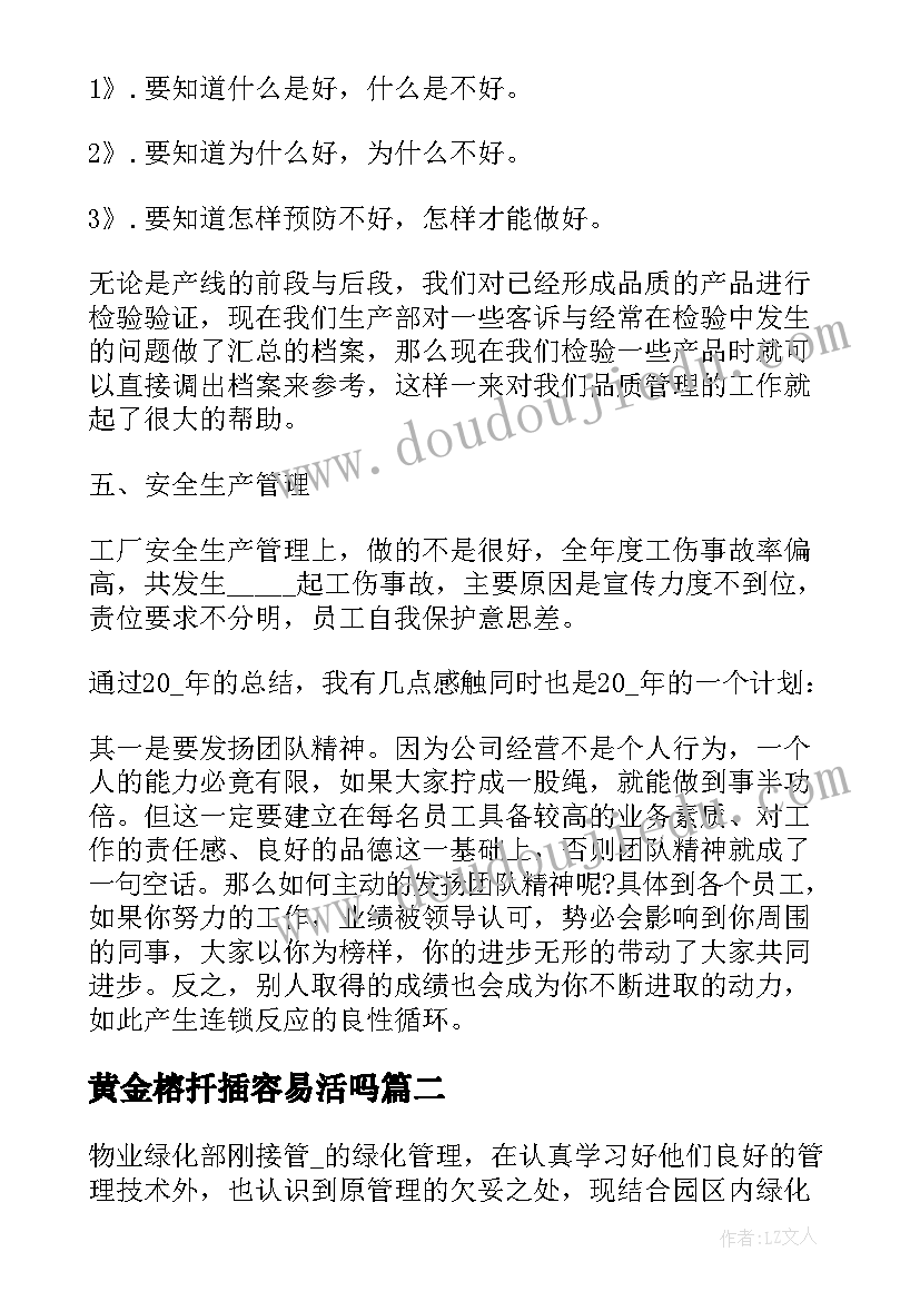 2023年黄金榕扦插容易活吗 黄金店的工作计划(实用8篇)