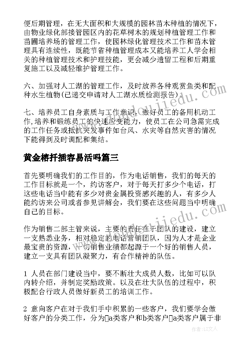 2023年黄金榕扦插容易活吗 黄金店的工作计划(实用8篇)