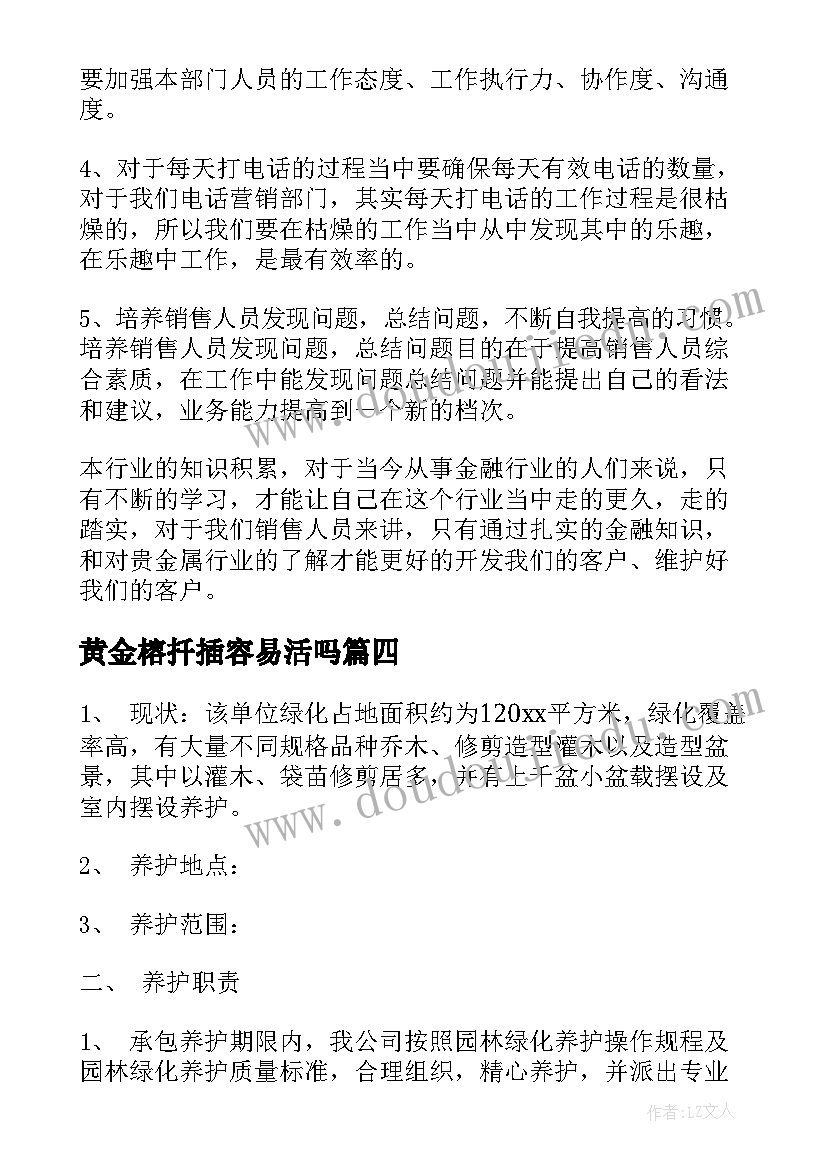 2023年黄金榕扦插容易活吗 黄金店的工作计划(实用8篇)