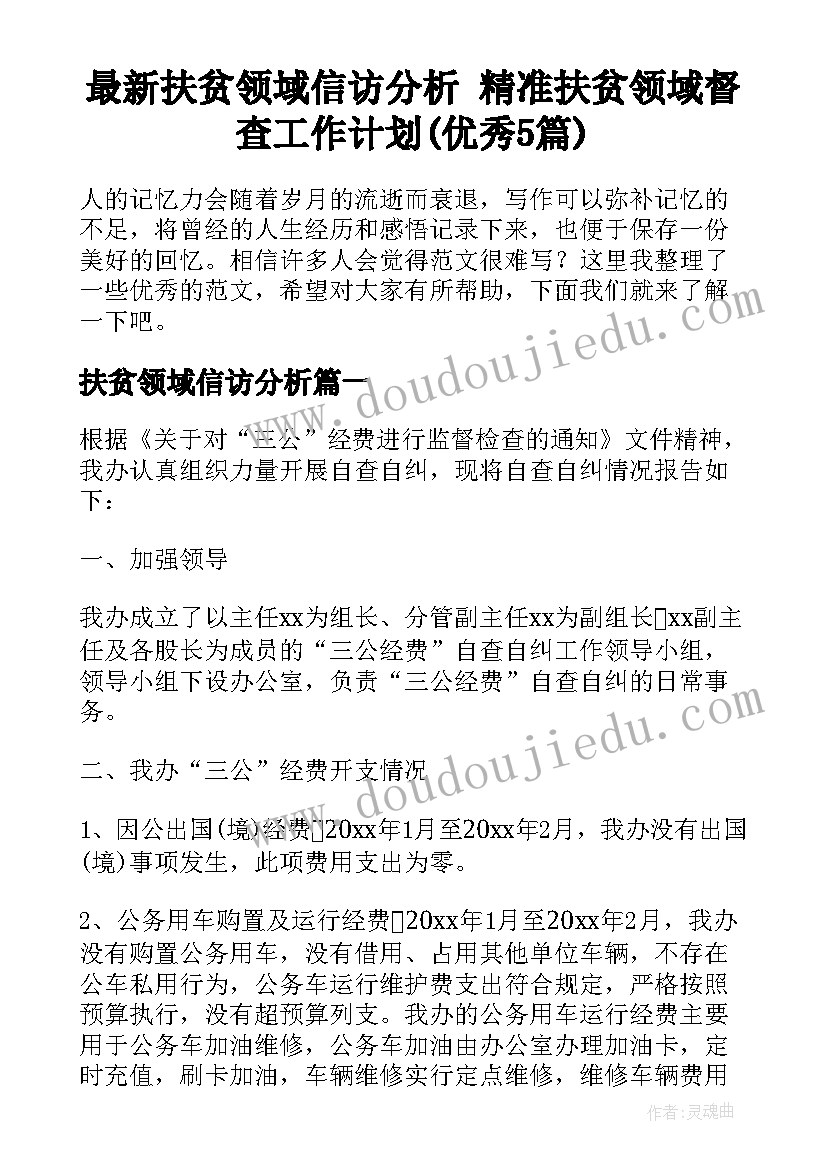 最新扶贫领域信访分析 精准扶贫领域督查工作计划(优秀5篇)