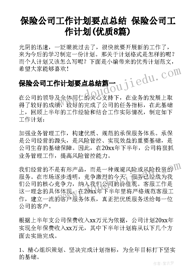 保险公司工作计划要点总结 保险公司工作计划(优质8篇)