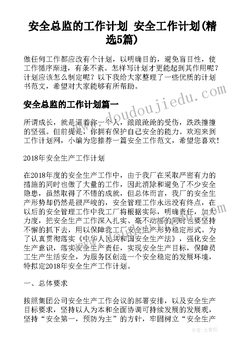 安全总监的工作计划 安全工作计划(精选5篇)