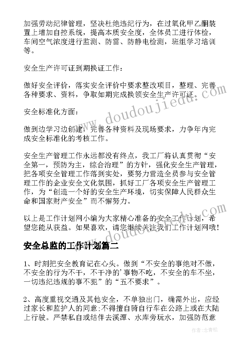 安全总监的工作计划 安全工作计划(精选5篇)