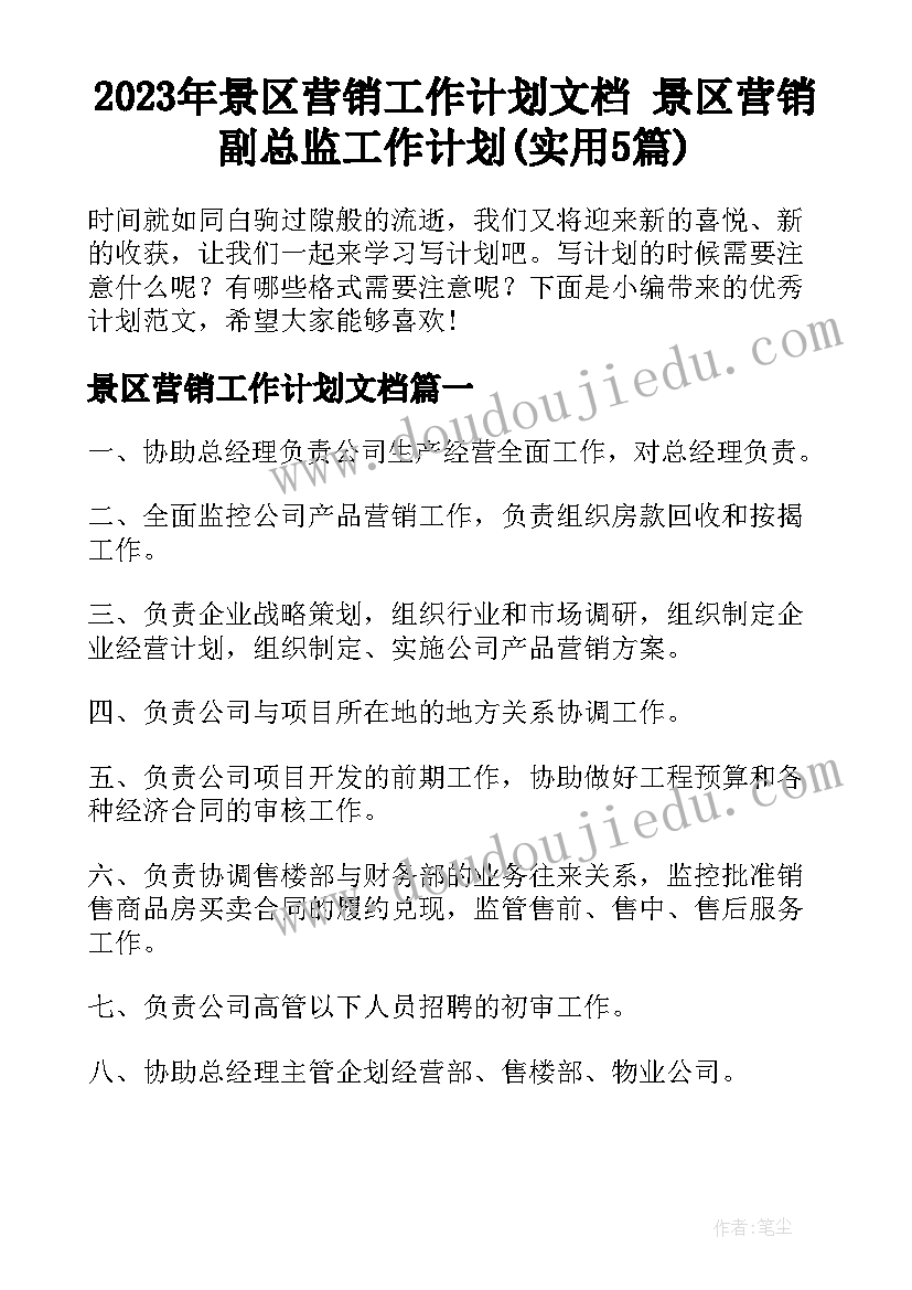 2023年景区营销工作计划文档 景区营销副总监工作计划(实用5篇)