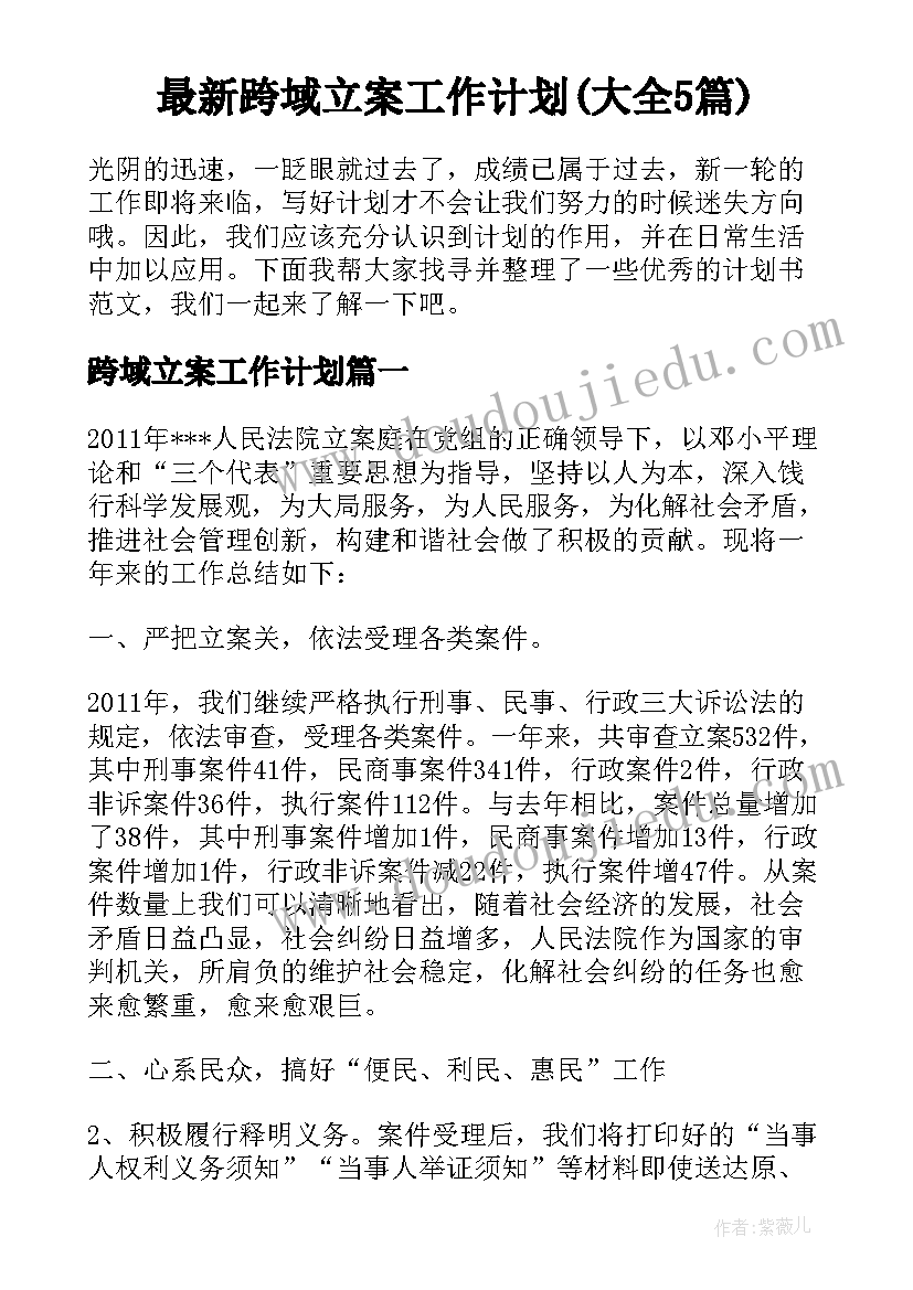 最新跨域立案工作计划(大全5篇)