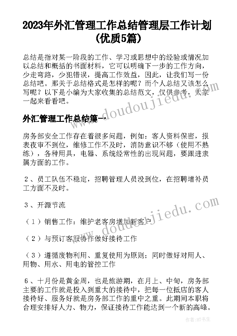 2023年外汇管理工作总结 管理层工作计划(优质5篇)