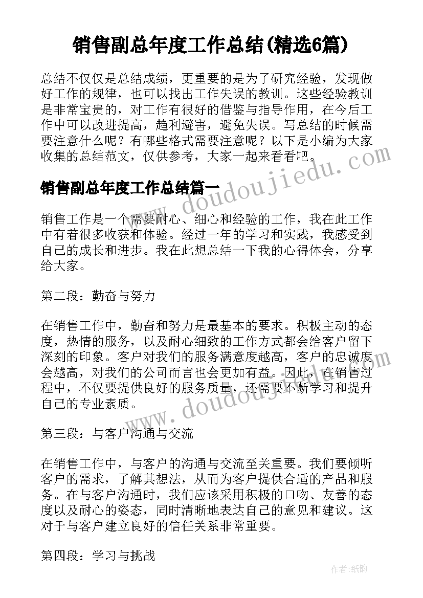 销售副总年度工作总结(精选6篇)