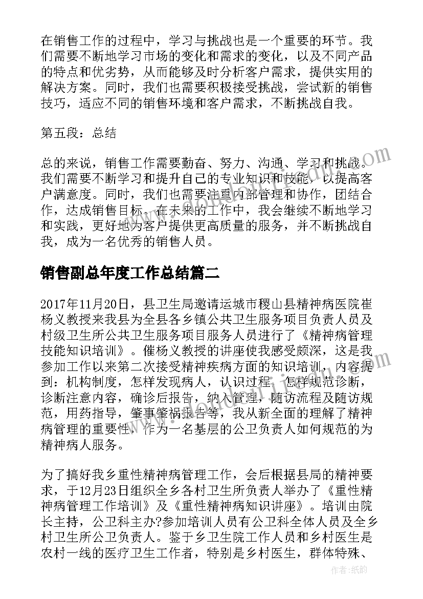 销售副总年度工作总结(精选6篇)