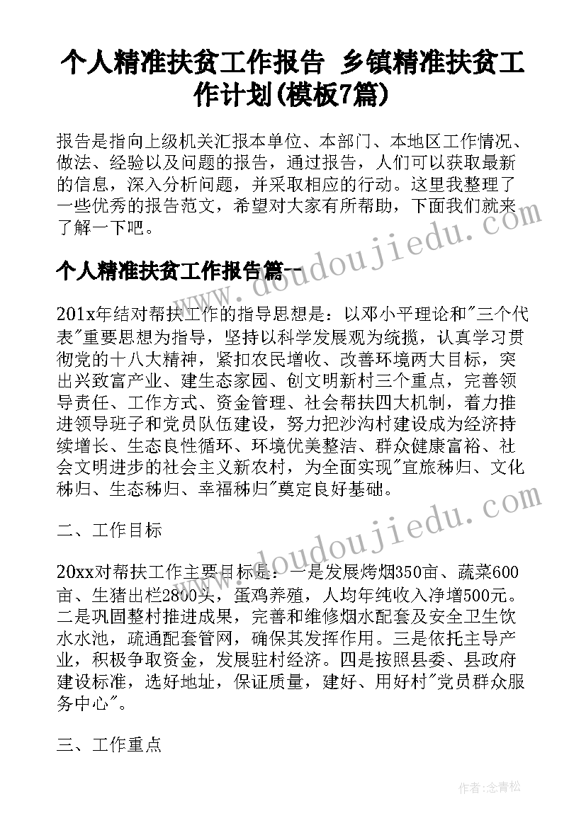 个人精准扶贫工作报告 乡镇精准扶贫工作计划(模板7篇)