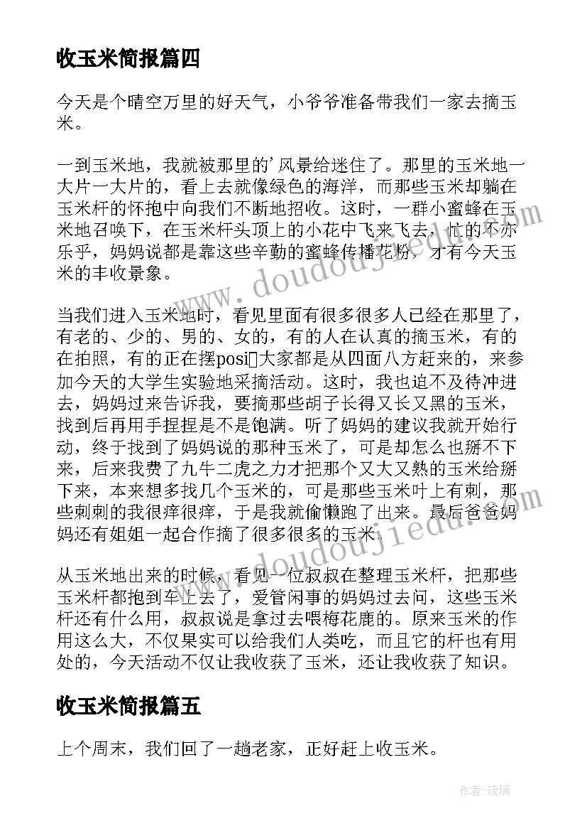 收玉米简报 种植玉米工作总结(实用5篇)