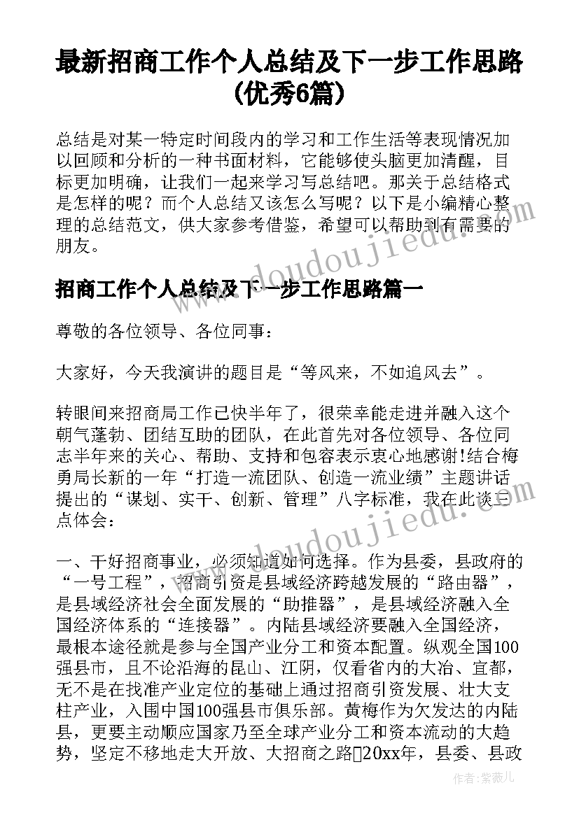 最新招商工作个人总结及下一步工作思路(优秀6篇)