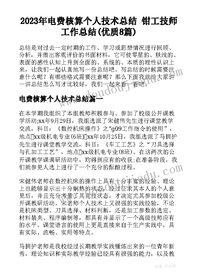 2023年电费核算个人技术总结 钳工技师工作总结(优质8篇)