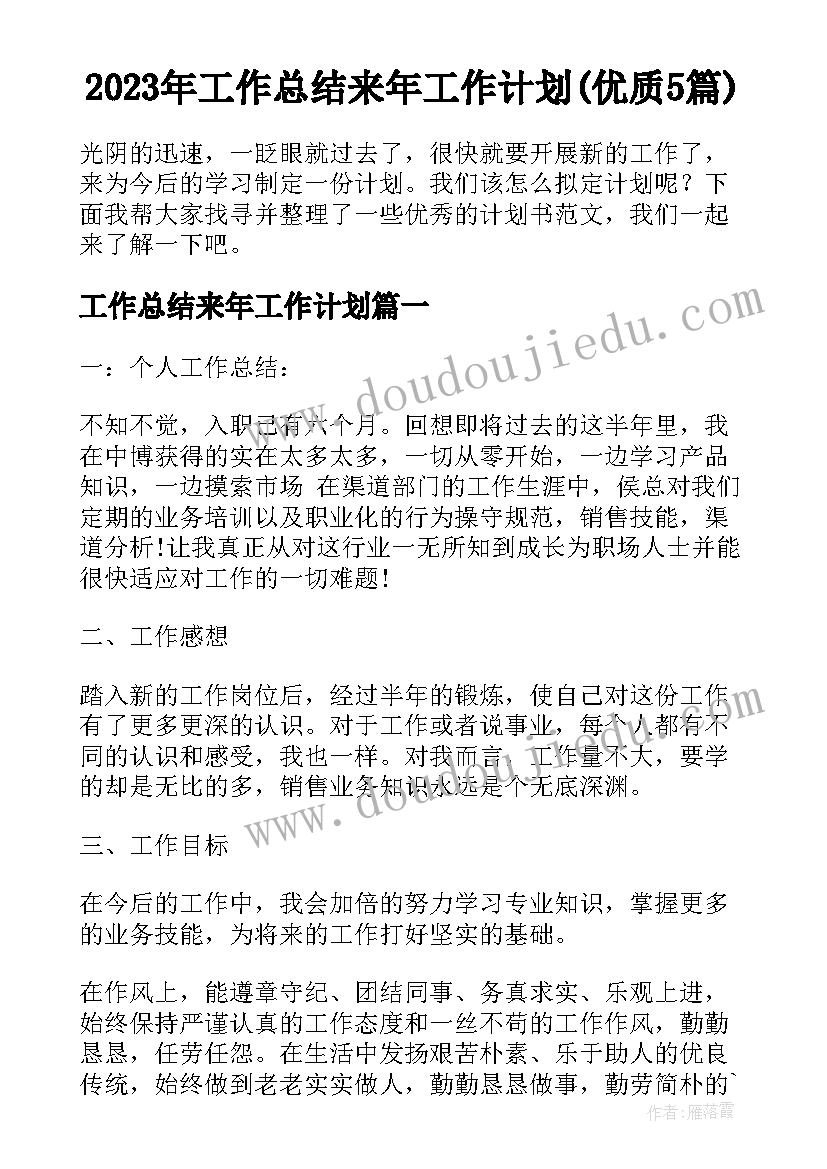 2023年工作总结来年工作计划(优质5篇)