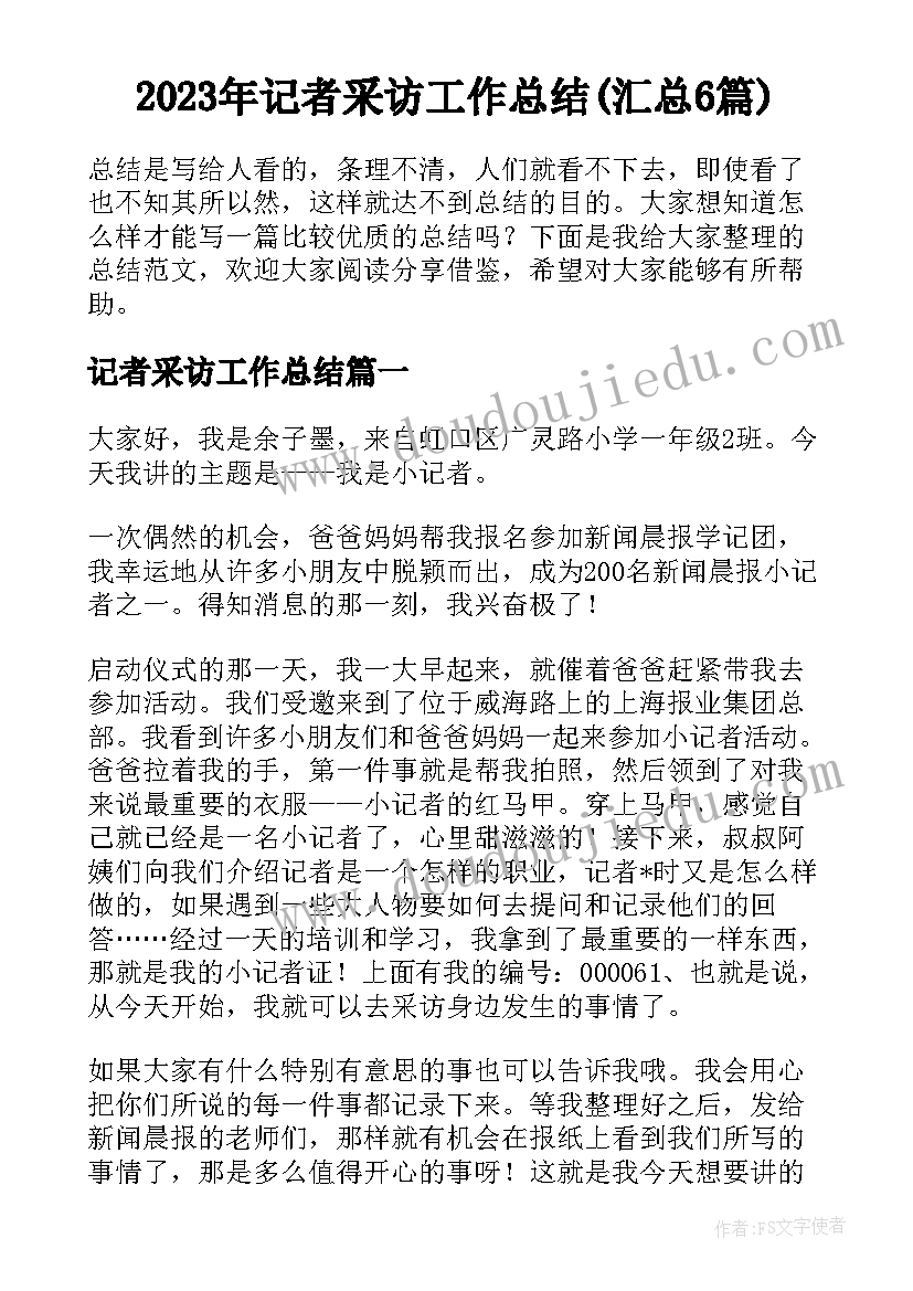 2023年记者采访工作总结(汇总6篇)