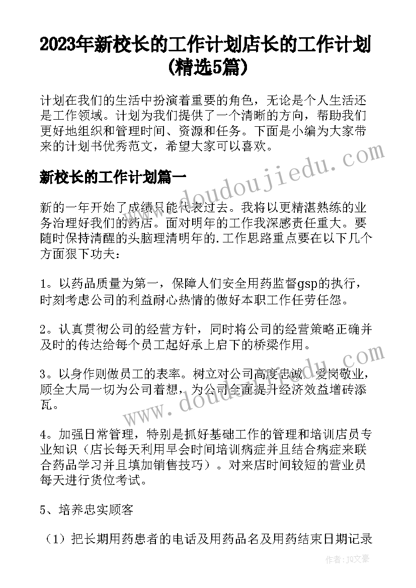 2023年新校长的工作计划 店长的工作计划(精选5篇)