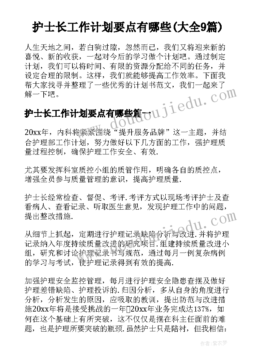 护士长工作计划要点有哪些(大全9篇)