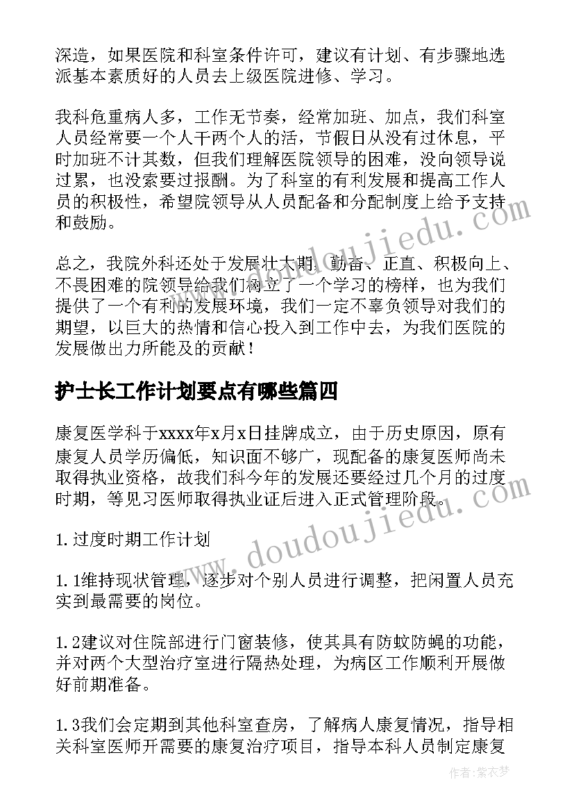 护士长工作计划要点有哪些(大全9篇)