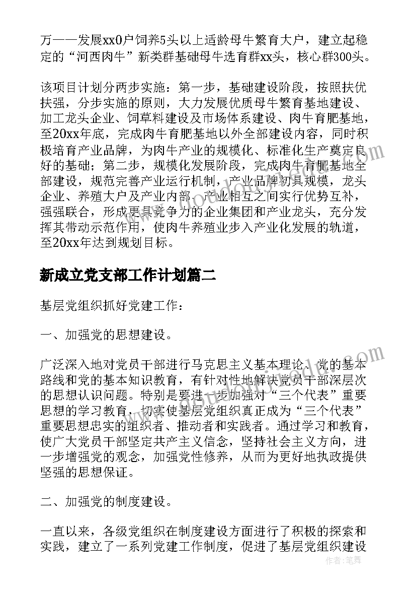 2023年新成立党支部工作计划(汇总5篇)