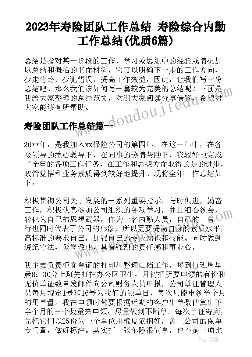 2023年寿险团队工作总结 寿险综合内勤工作总结(优质6篇)