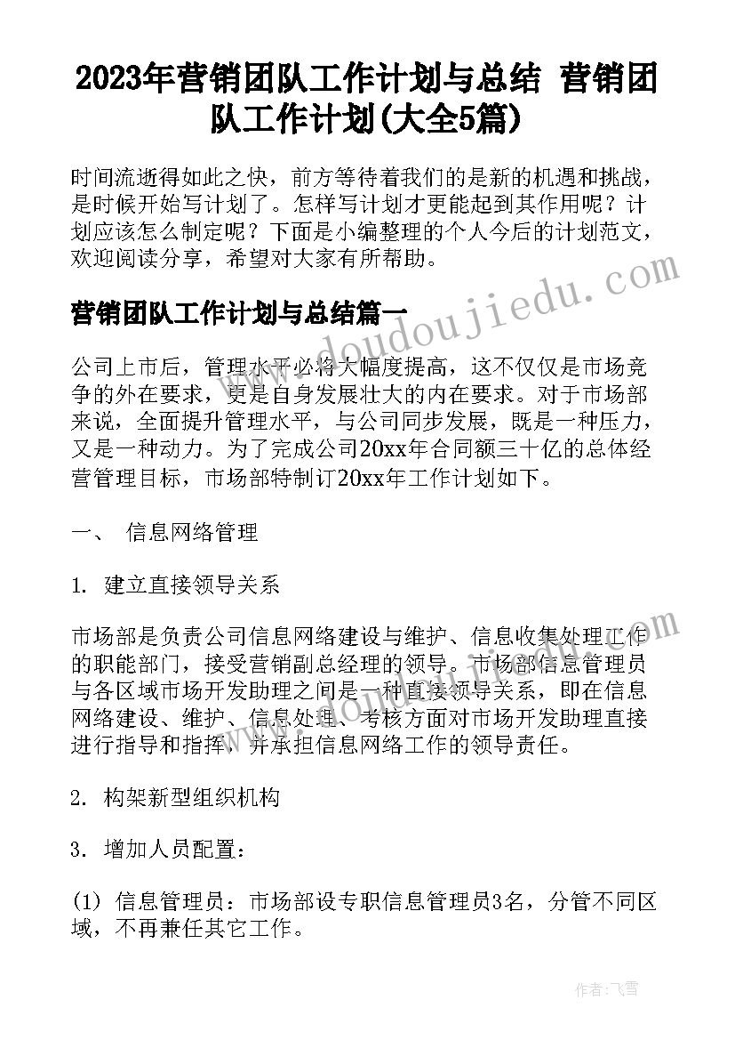 2023年营销团队工作计划与总结 营销团队工作计划(大全5篇)