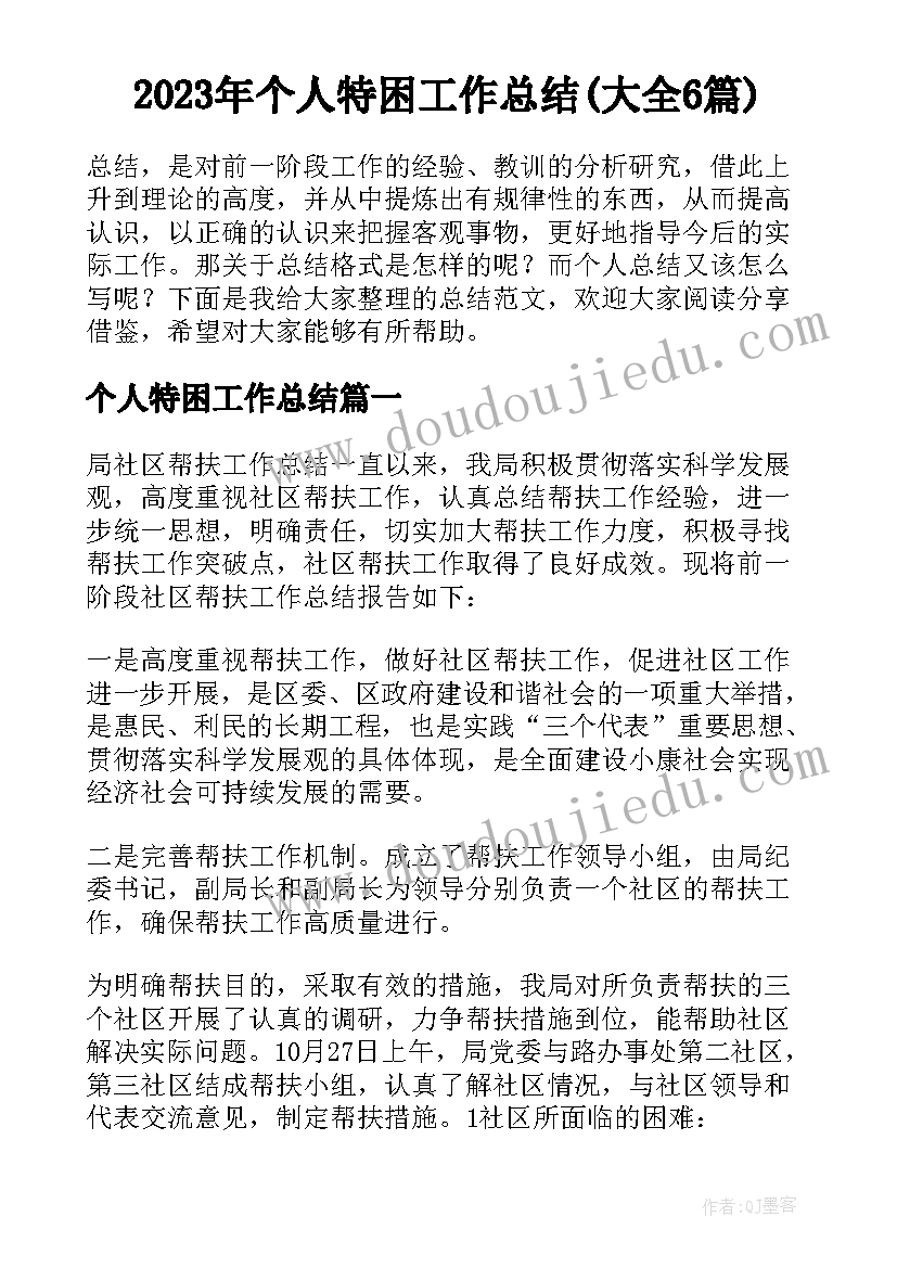 2023年个人特困工作总结(大全6篇)