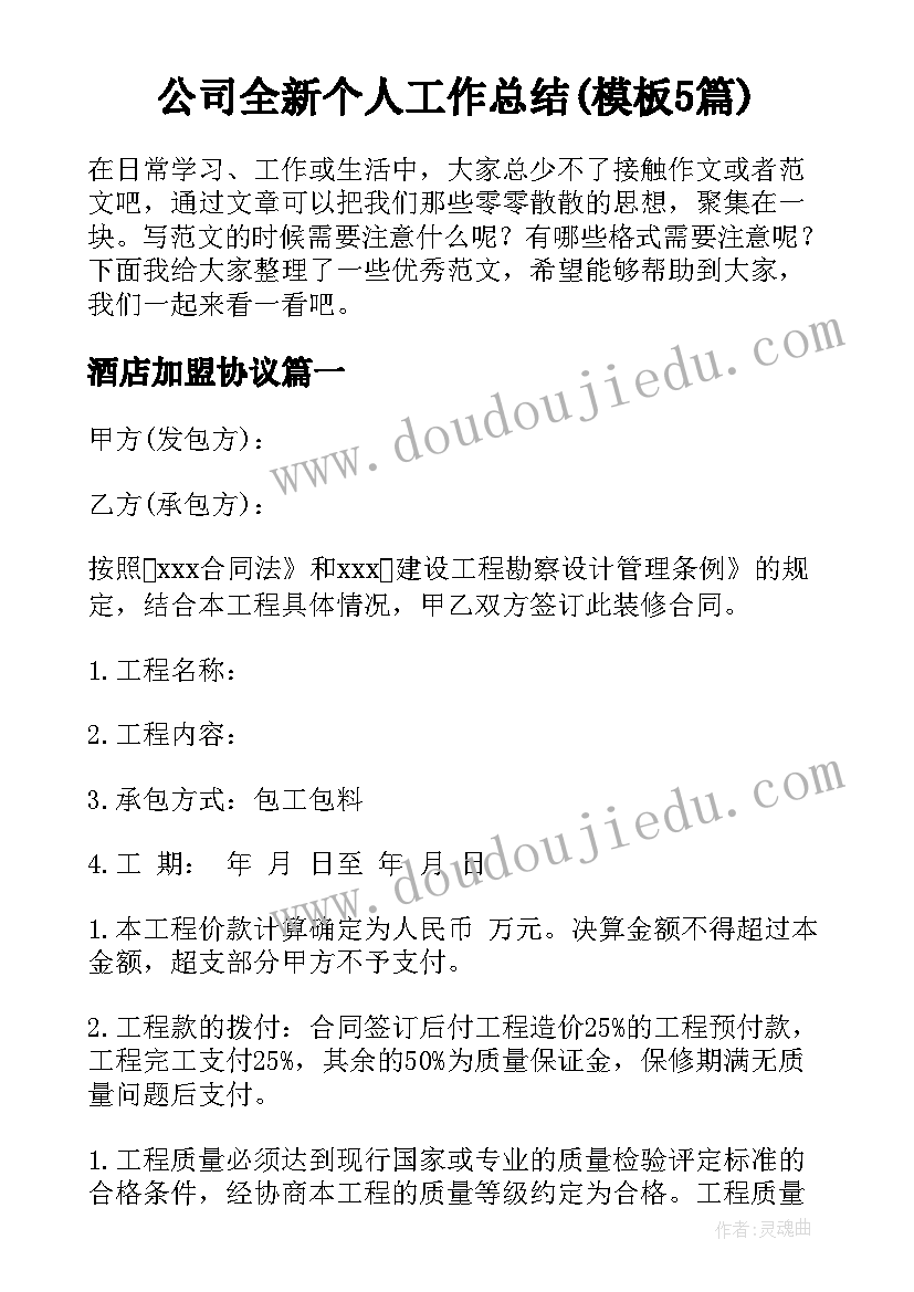 公司全新个人工作总结(模板5篇)