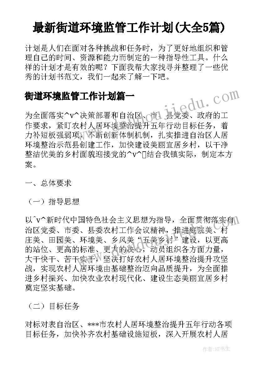 最新街道环境监管工作计划(大全5篇)