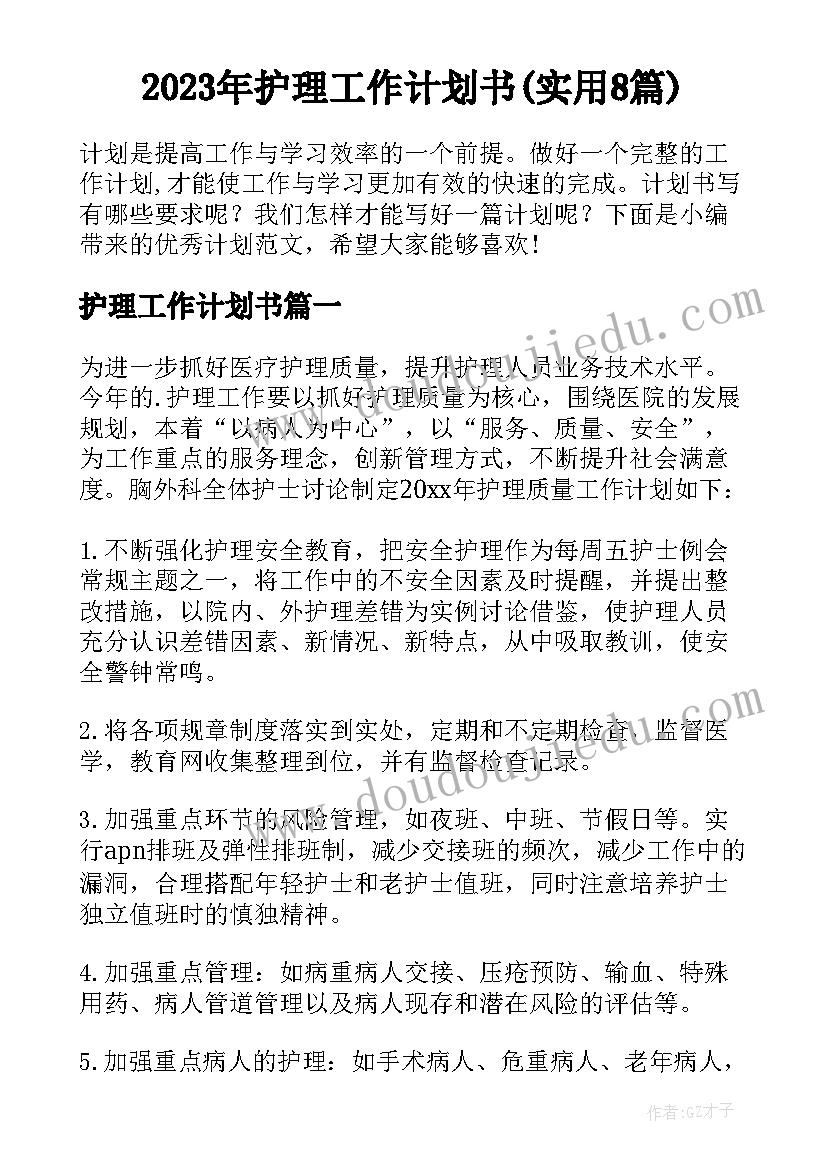 2023年护理工作计划书(实用8篇)