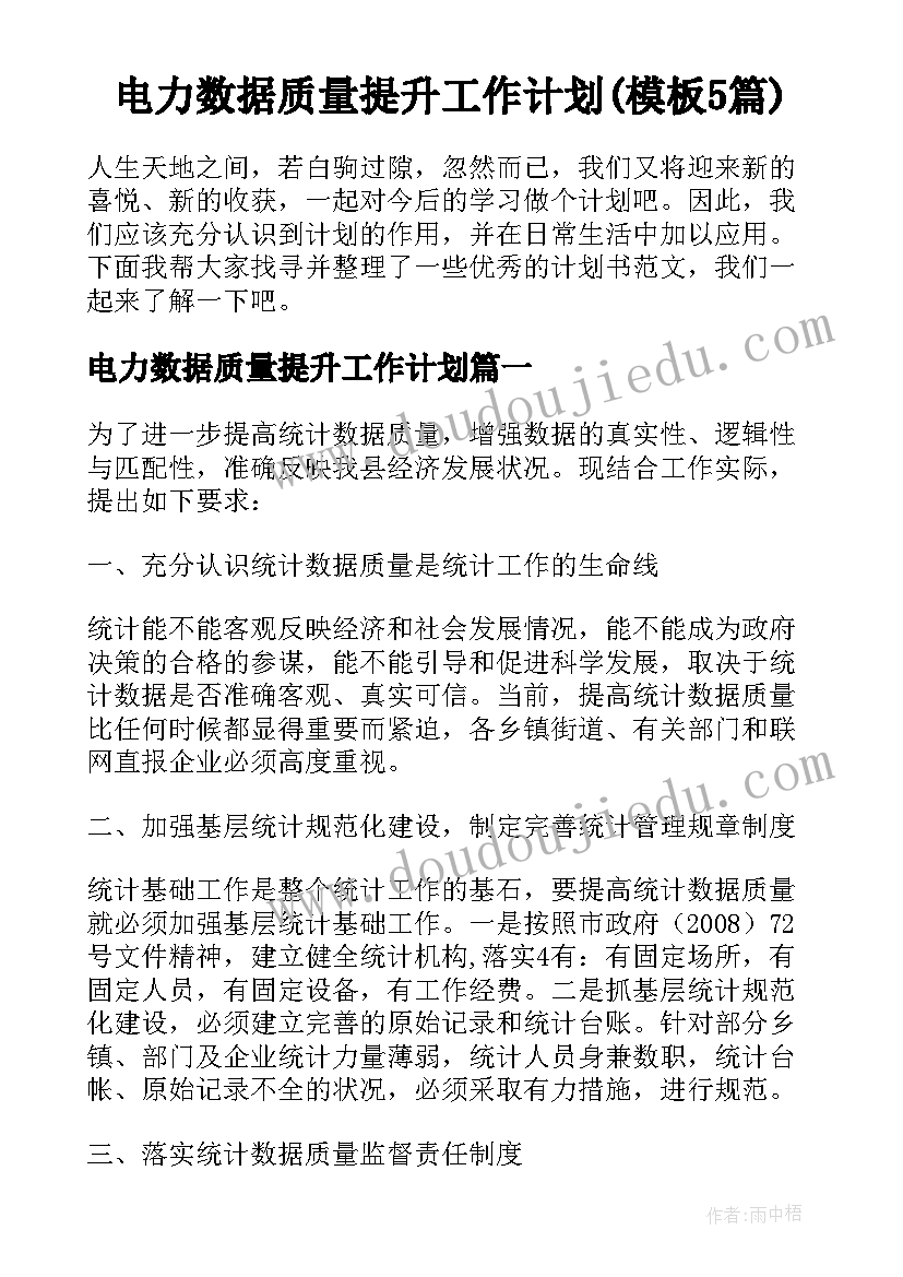 电力数据质量提升工作计划(模板5篇)