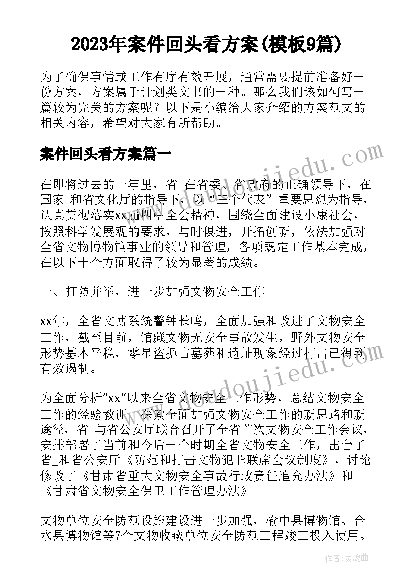 2023年案件回头看方案(模板9篇)