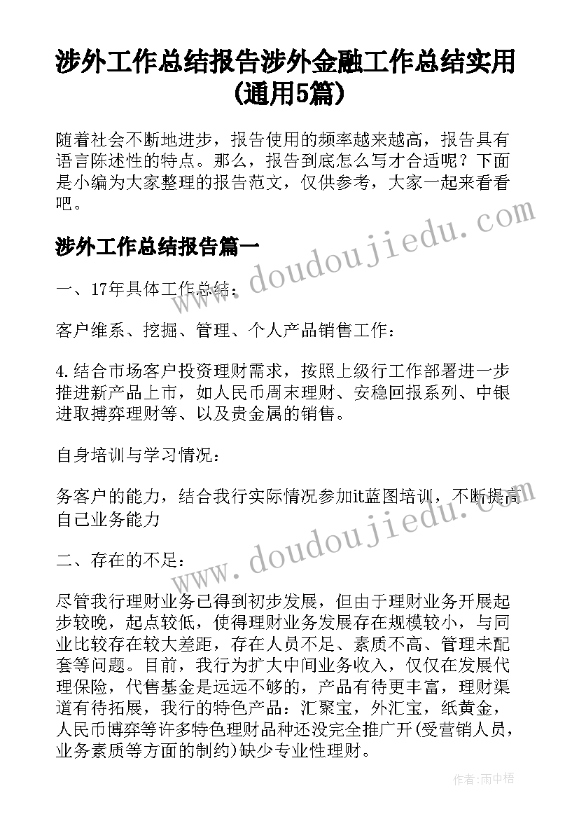 涉外工作总结报告 涉外金融工作总结实用(通用5篇)