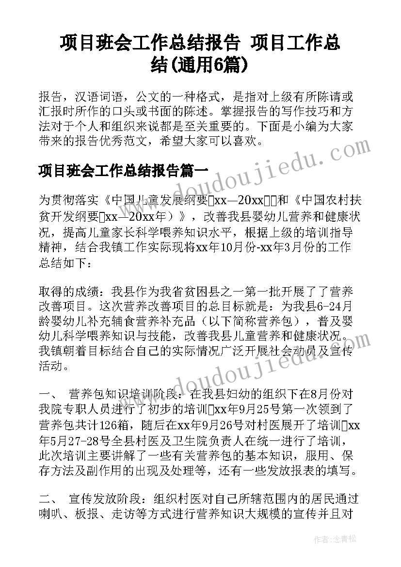 项目班会工作总结报告 项目工作总结(通用6篇)