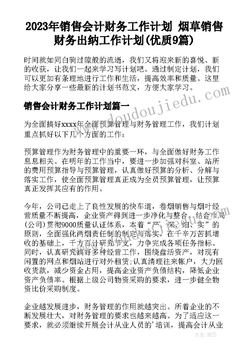 2023年销售会计财务工作计划 烟草销售财务出纳工作计划(优质9篇)