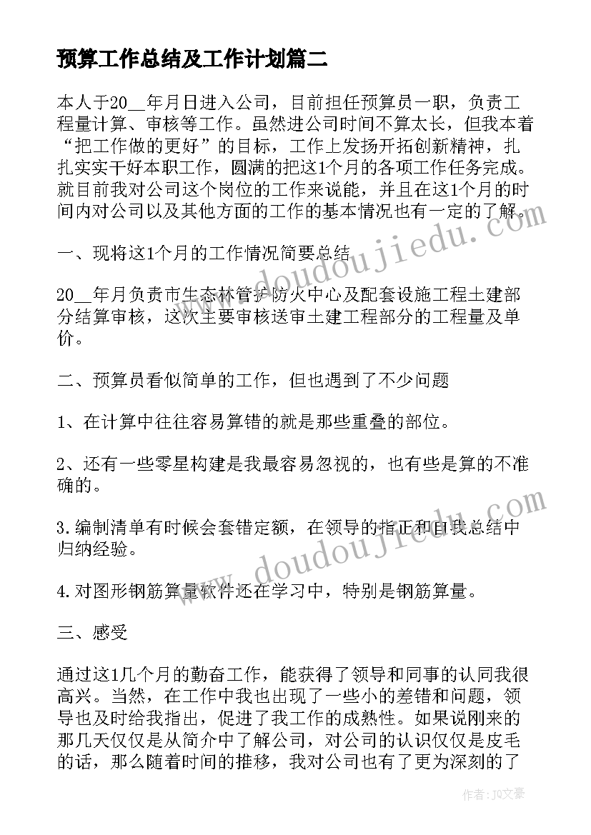 最新预算工作总结及工作计划(汇总5篇)