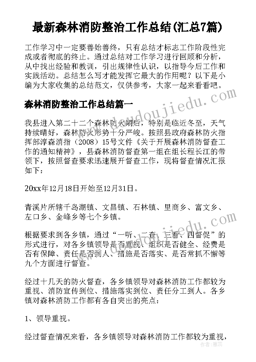 最新森林消防整治工作总结(汇总7篇)