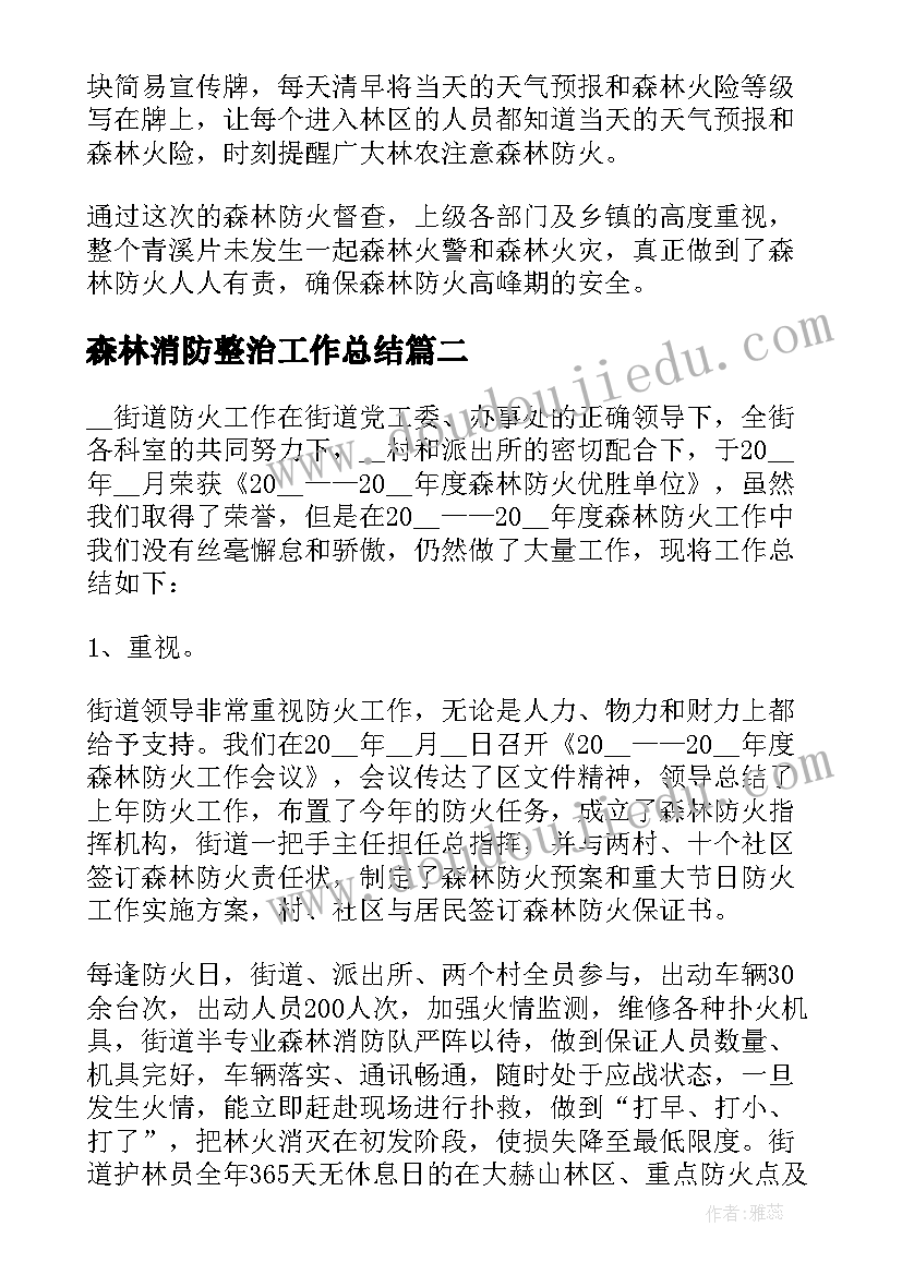 最新森林消防整治工作总结(汇总7篇)