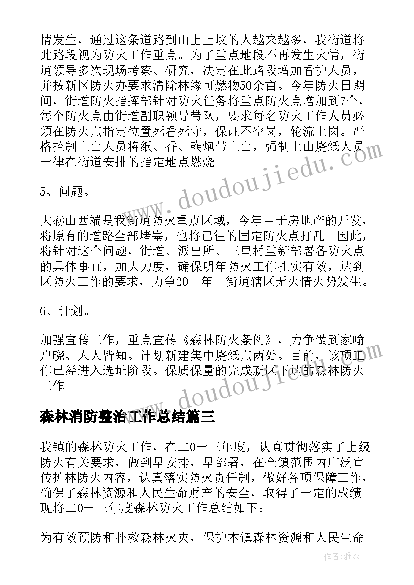 最新森林消防整治工作总结(汇总7篇)