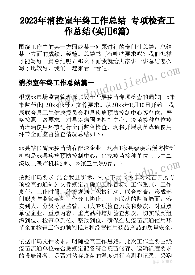 2023年消控室年终工作总结 专项检查工作总结(实用6篇)