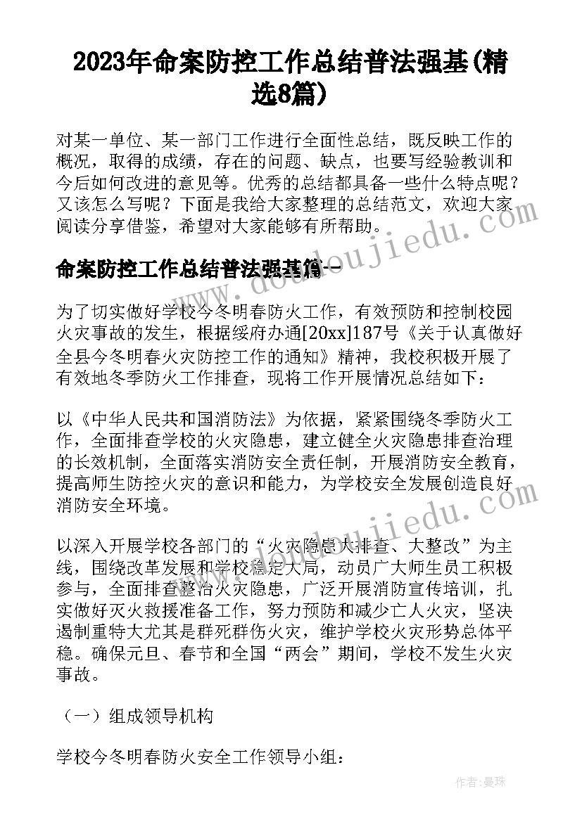 2023年命案防控工作总结普法强基(精选8篇)